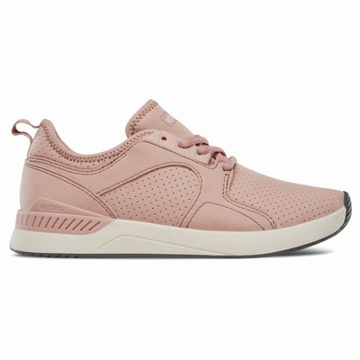 Tenis Etnies CYPRUS SC Rosas Para Mujer MX261-QWZ